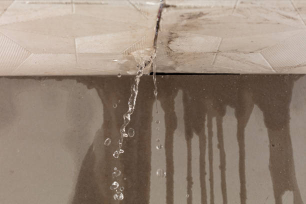 Professional Structural Drying technician working in Garwood, TX
